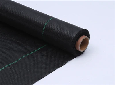 زمین کی تزئین کی چٹائی